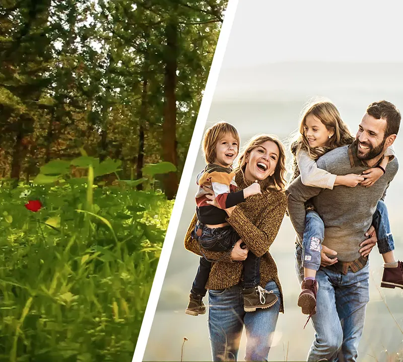 Čist vazduh kao u prirodi