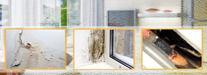 Budj, vlaga, kondenzacija, plesni, vlaga kuca stan