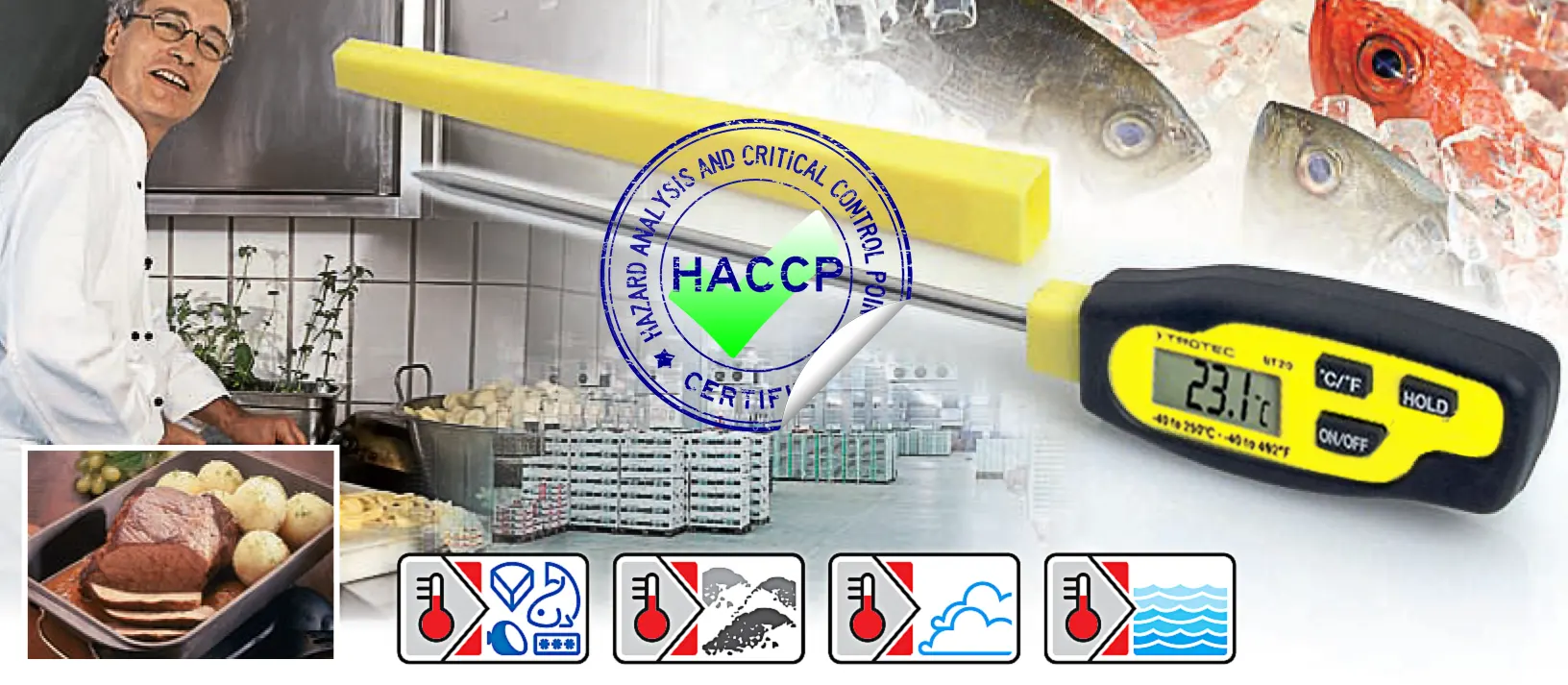 Ubodni termometar BT20