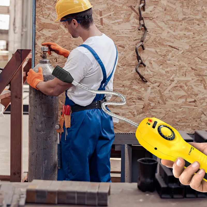 BG30 detektor gasa alarmni uređaj